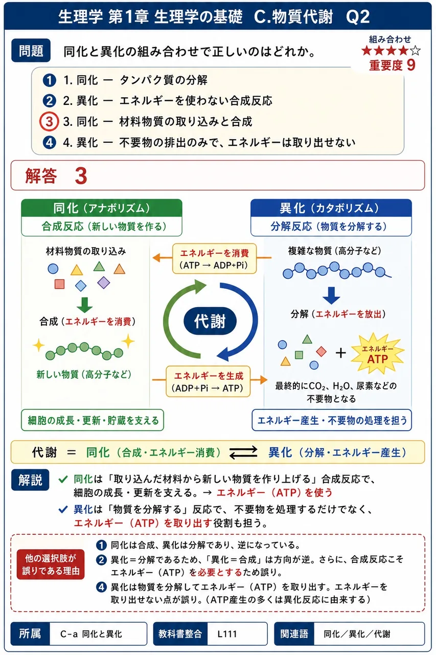 同化と異化の組み合わせで正しいのはどれか。 解説図