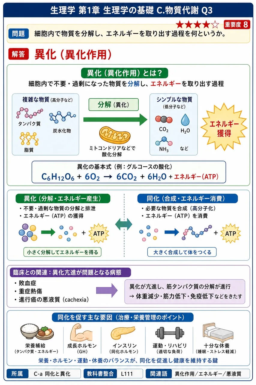 細胞内で物質を分解し、エネルギーを取り出す過程を何というか。 解説図