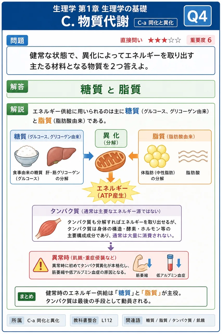 健常な状態で、異化によってエネルギーを取り出す主たる材料となる物質を2つ答えよ。 解説図