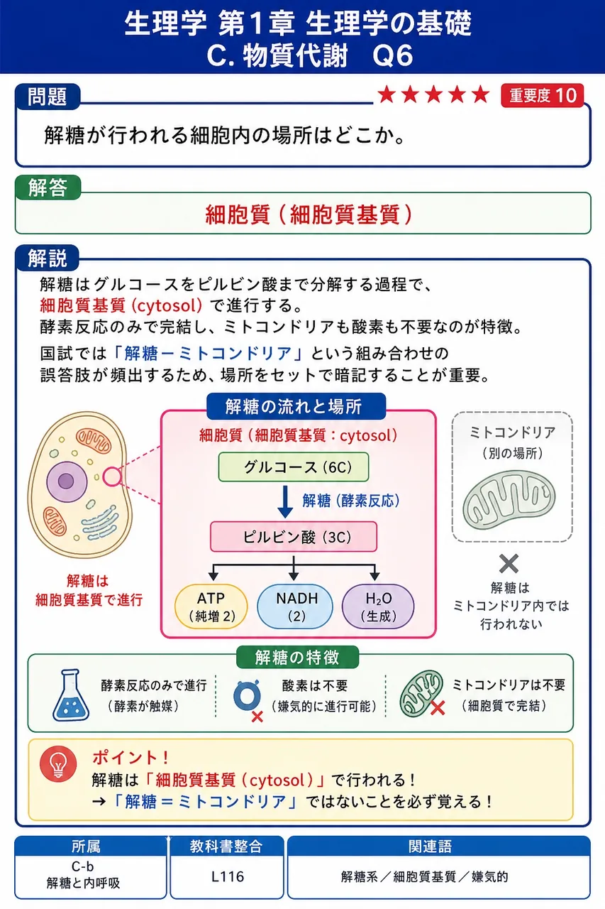 解糖が行われる細胞内の場所はどこか。 解説図