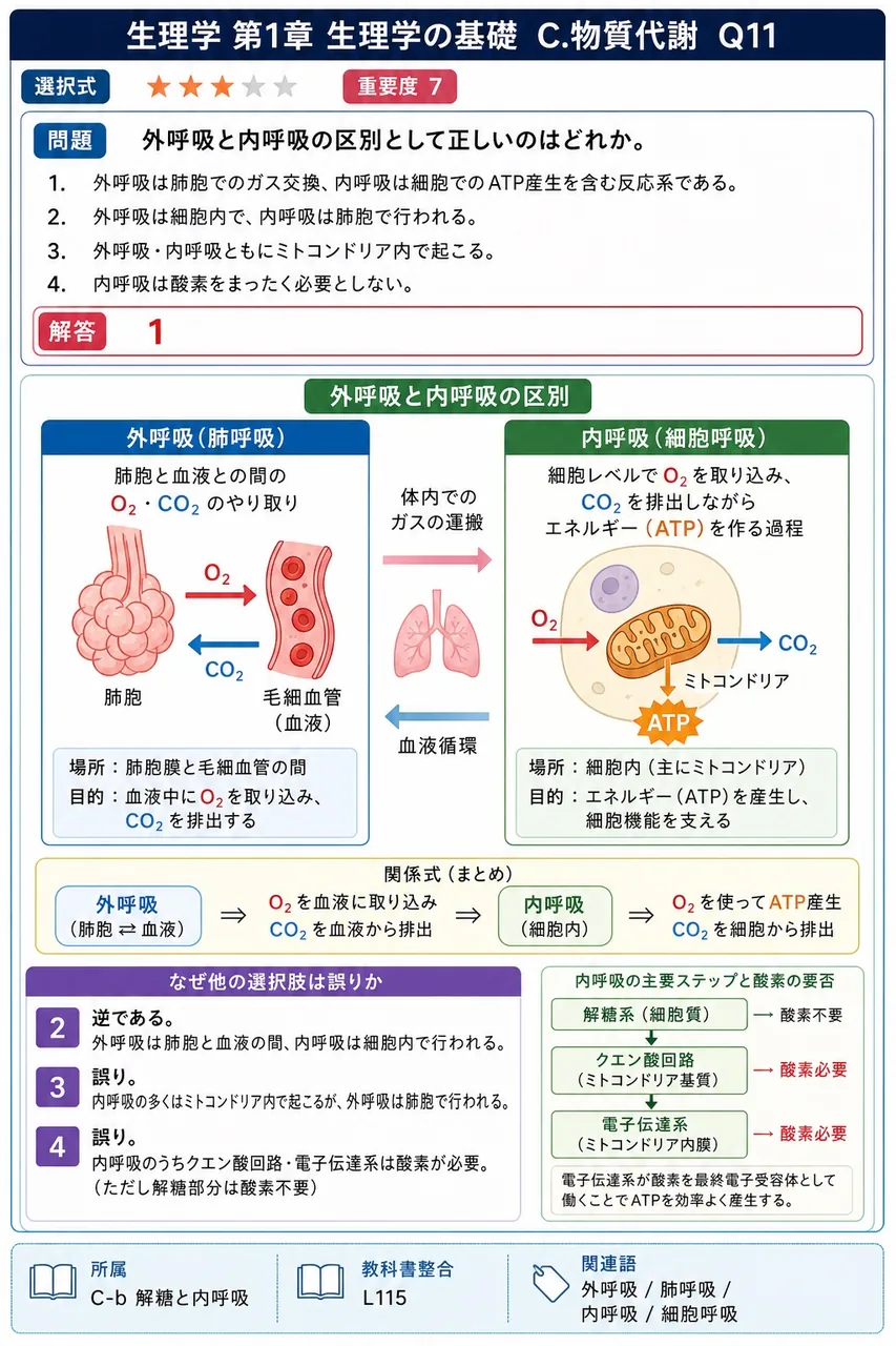 外呼吸と内呼吸の区別として正しいのはどれか。 解説図