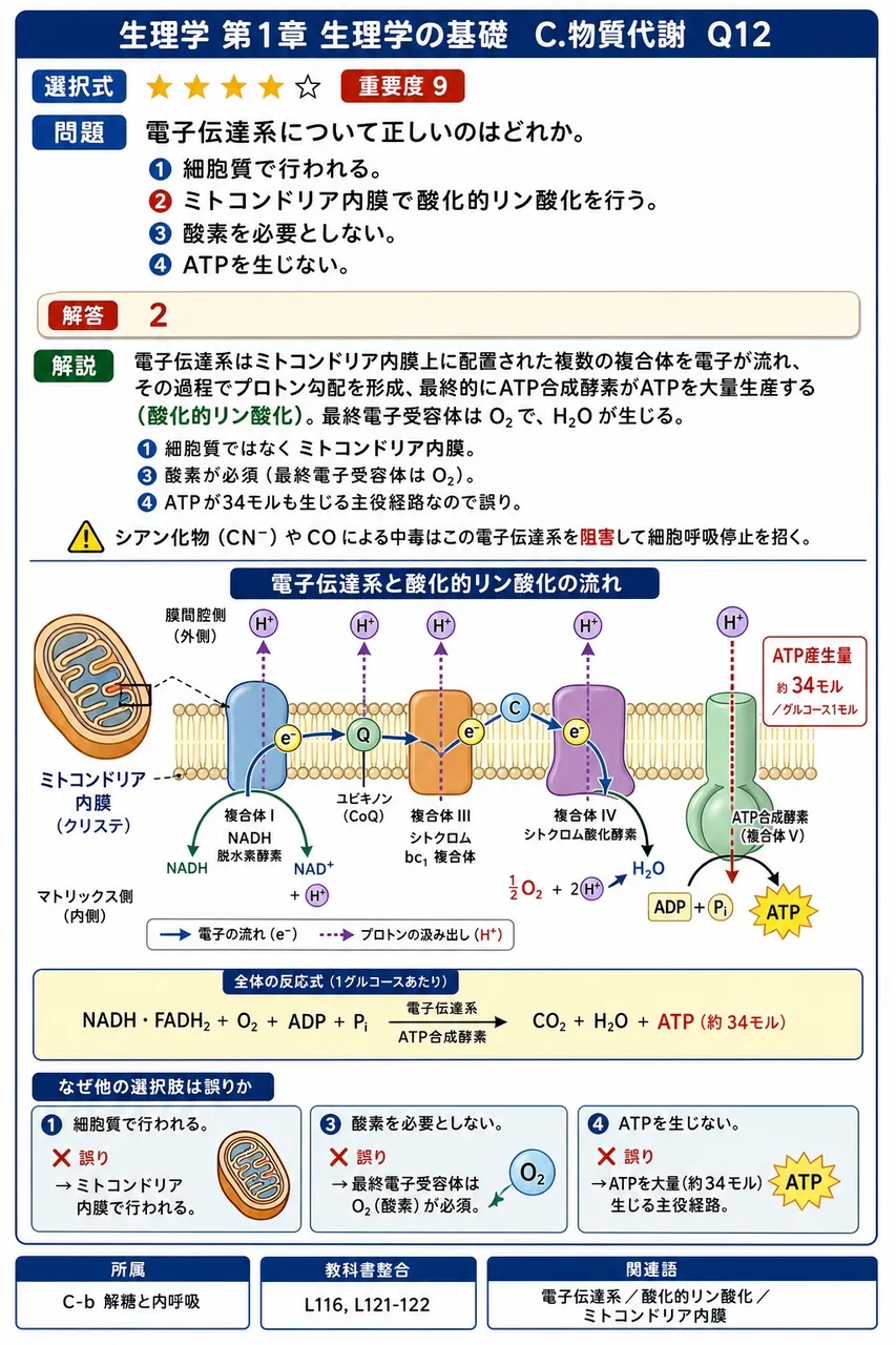 電子伝達系について正しいのはどれか。 解説図