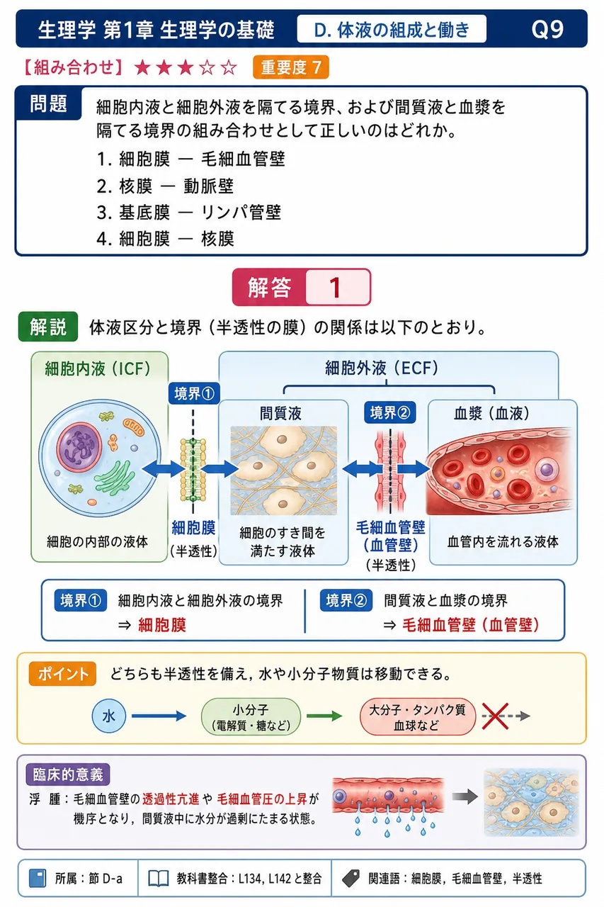 細胞内液と細胞外液を隔てる境界、および間質液と血漿を隔てる境界の組み合わせとして正しいのはどれか。 解説図