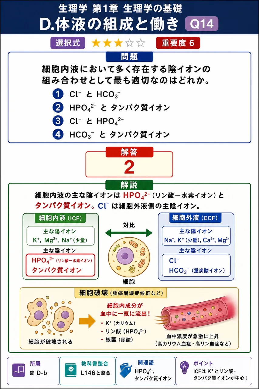 細胞内液において多く存在する陰イオンの組み合わせとして最も適切なのはどれか。 解説図