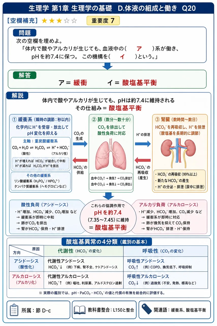 次の空欄を埋めよ。 「体内で酸やアルカリが生じても、血液中の( ア )系が働き、pHを約7.4に保つ。この機構を( イ )という。」 解説図