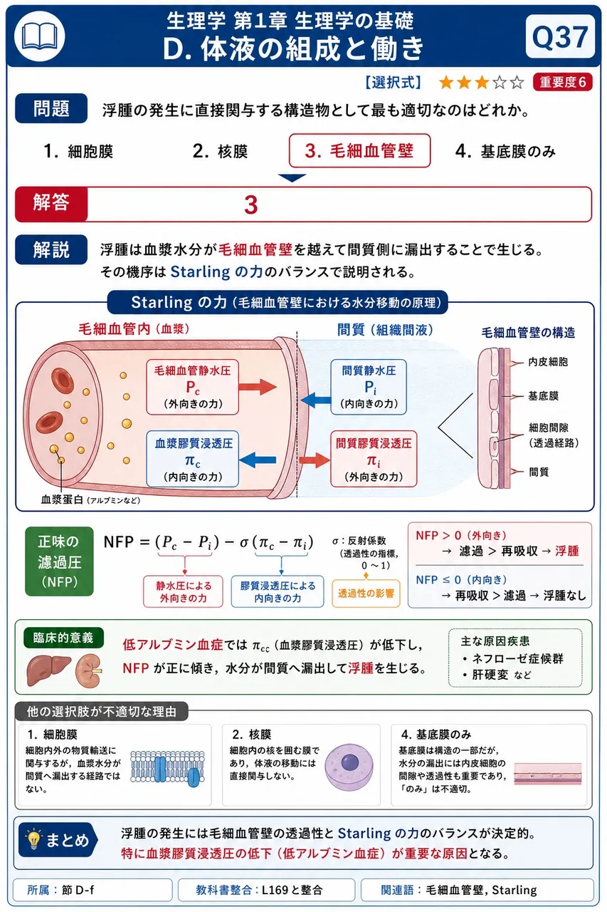 浮腫の発生に直接関与する構造物として最も適切なのはどれか。 解説図