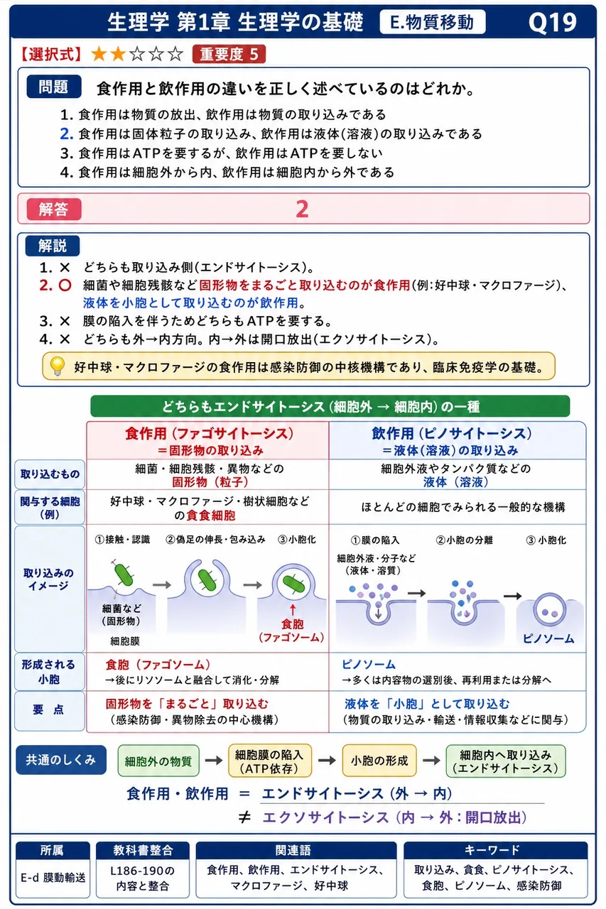 食作用と飲作用の違いを正しく述べているのはどれか。 解説図