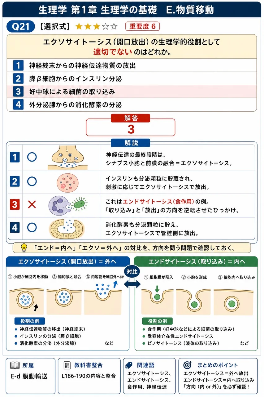 エクソサイトーシス(開口放出)の生理学的役割として**適切でない**のはどれか。 解説図