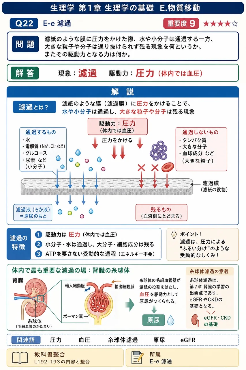 濾紙のような膜に圧力をかけた際、水や小分子は通過する一方、大きな粒子や分子は通り抜けられず残る現象を何というか。またその駆動力となる力は何か。 解説図