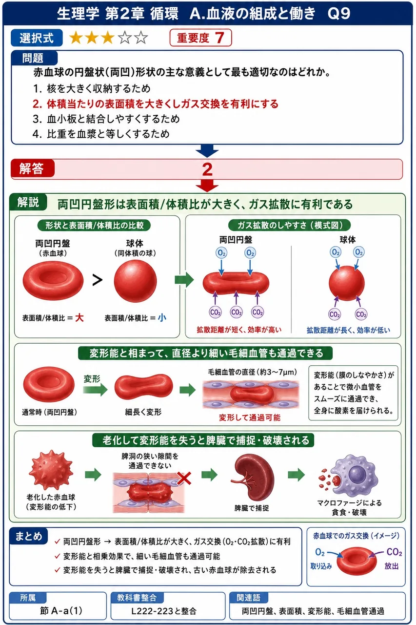 赤血球の円盤状(両凹)形状の主な意義として最も適切なのはどれか。 解説図