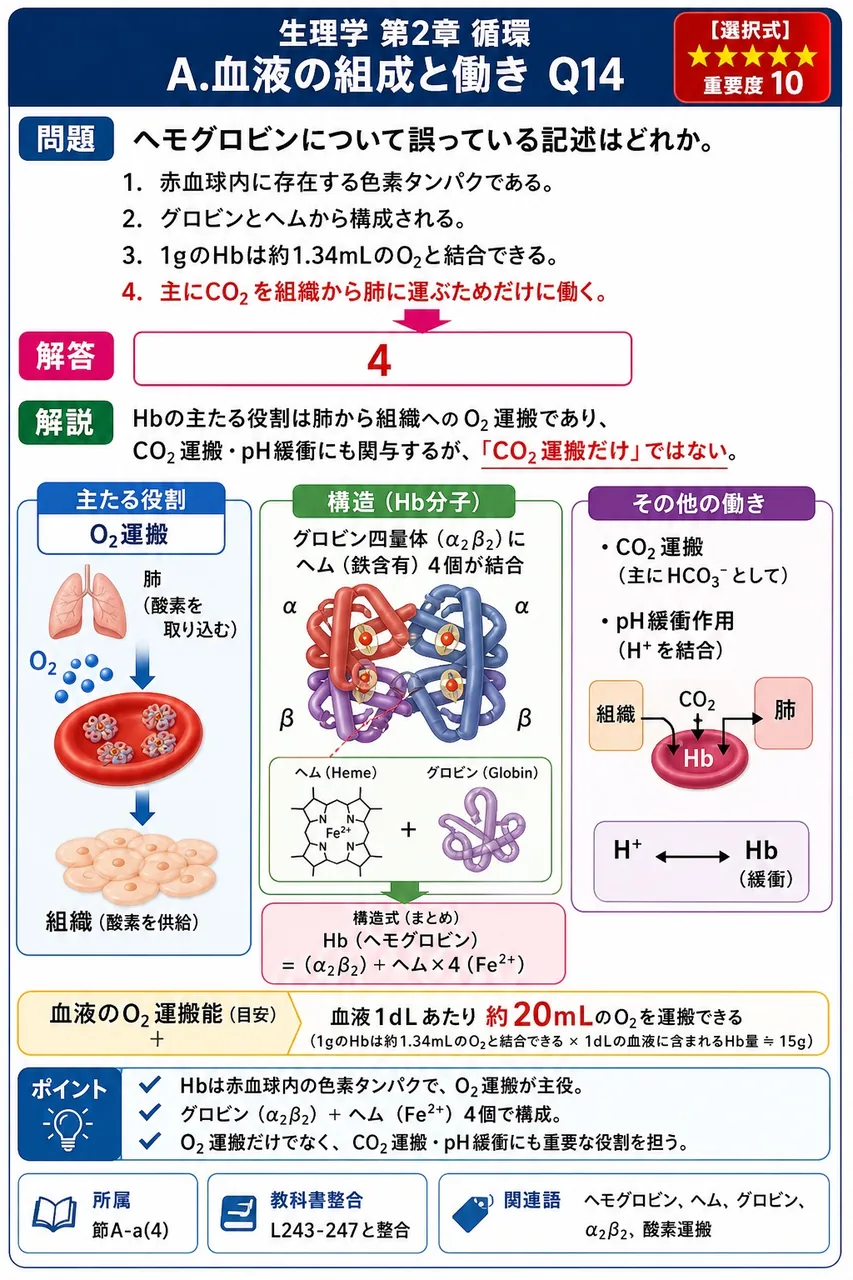 ヘモグロビンについて誤っている記述はどれか。 解説図