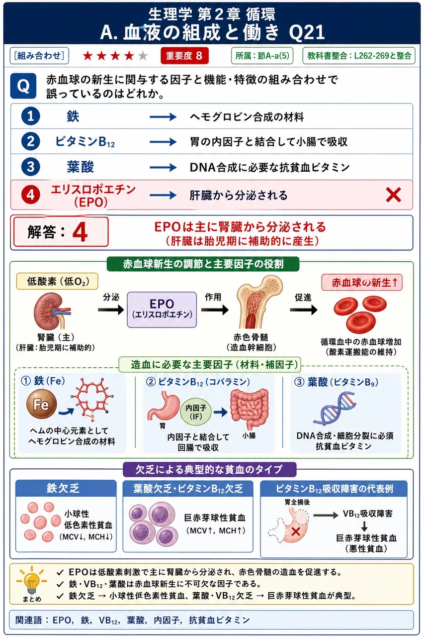 赤血球の新生に関与する因子と機能・特徴の組み合わせで誤っているのはどれか。 解説図