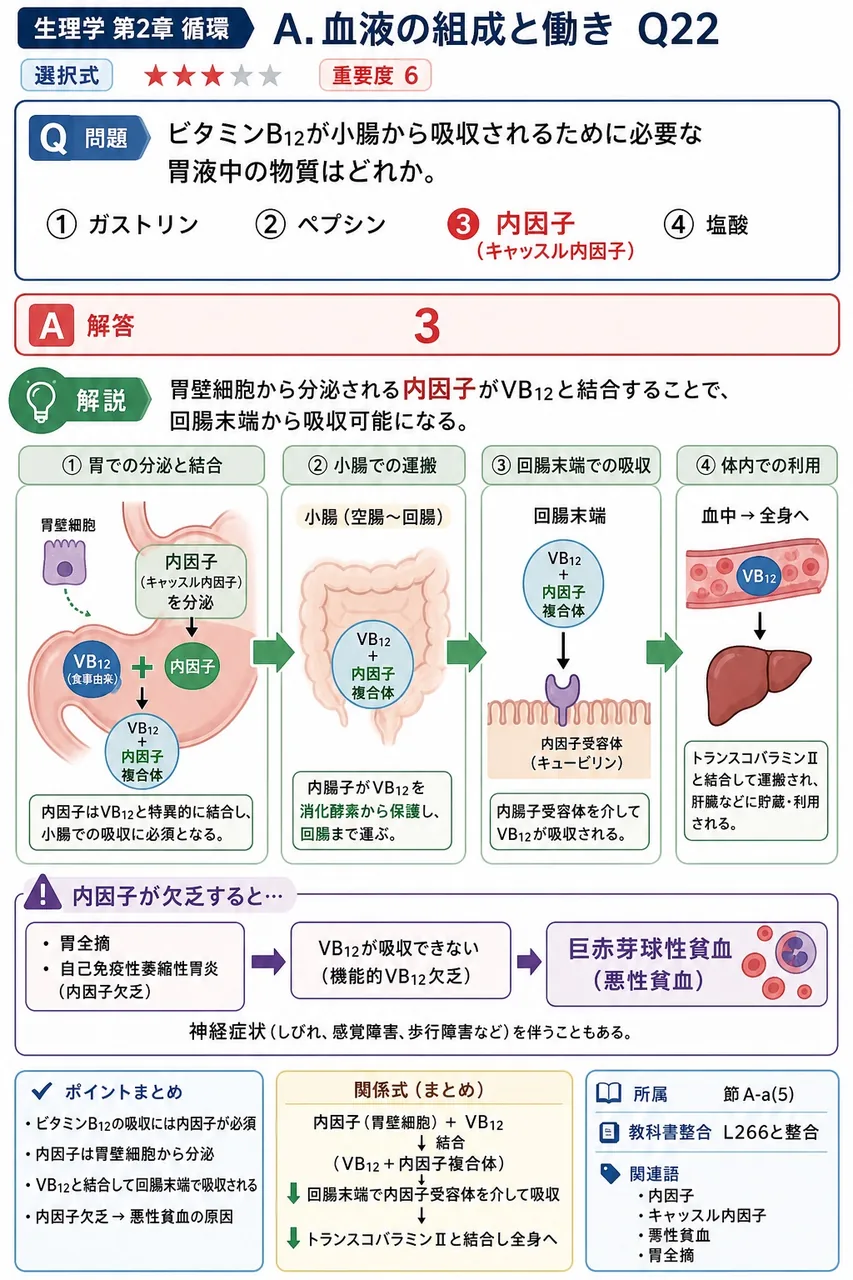ビタミンB12が小腸から吸収されるために必要な胃液中の物質はどれか。 解説図