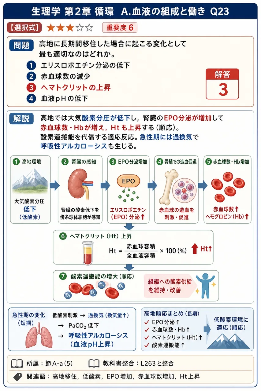高地に長期間移住した場合に起こる変化として最も適切なのはどれか。 解説図