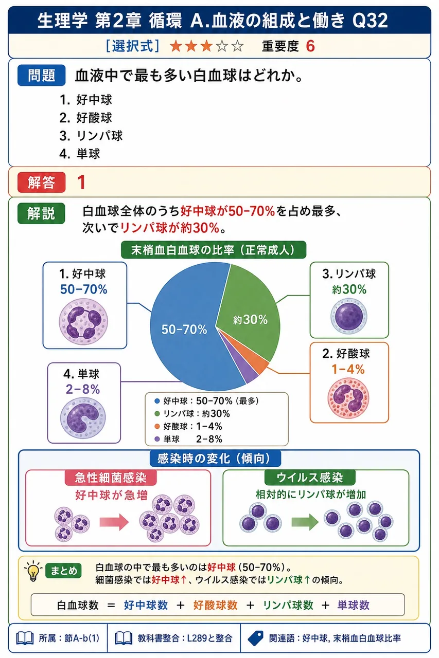 血液中で最も多い白血球はどれか。 解説図