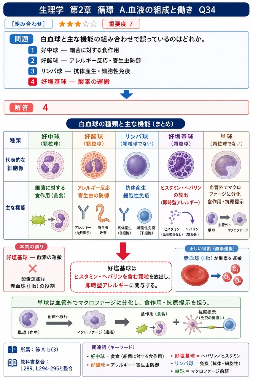 白血球と主な機能の組み合わせで誤っているのはどれか。 解説図