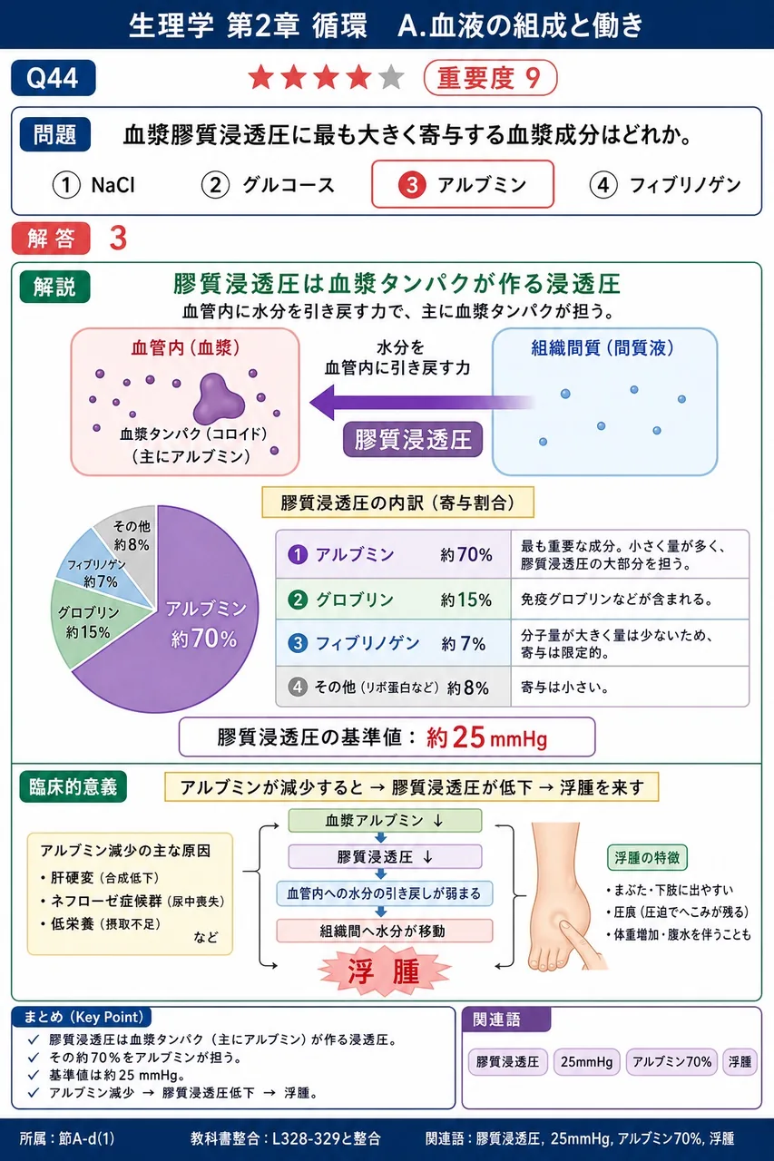 血漿膠質浸透圧に最も大きく寄与する血漿成分はどれか。 解説図
