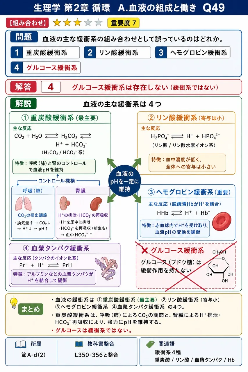 血液の主な緩衝系の組み合わせとして誤っているのはどれか。 解説図