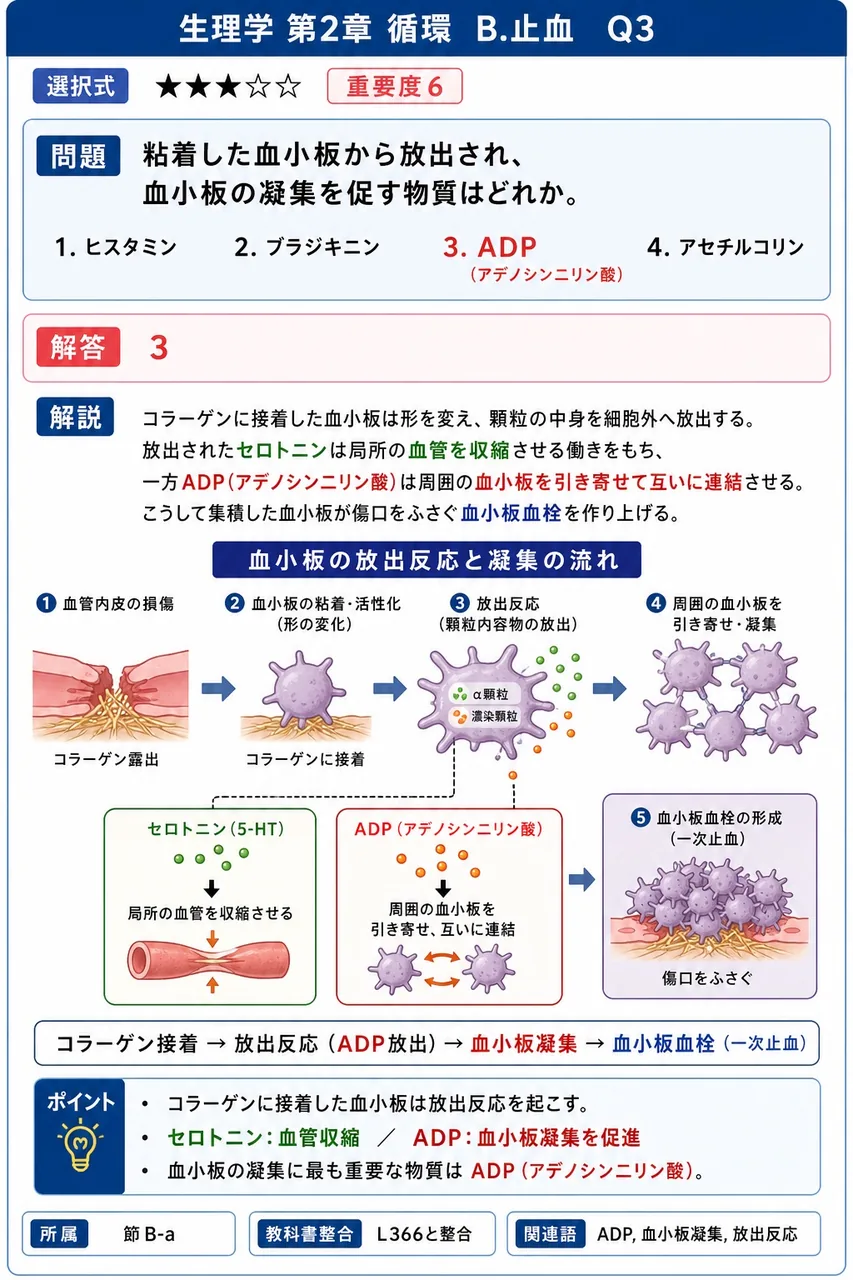 粘着した血小板から放出され、血小板の凝集を促す物質はどれか。 解説図