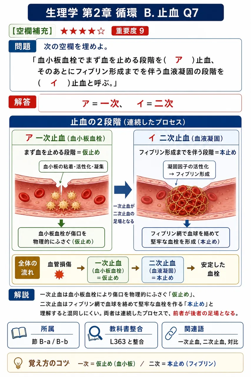 次の空欄を埋めよ。 「血小板血栓でまず血を止める段階を( ア )止血、そのあとにフィブリン形成までを伴う血液凝固の段階を( イ )止血と呼ぶ。」 解説図