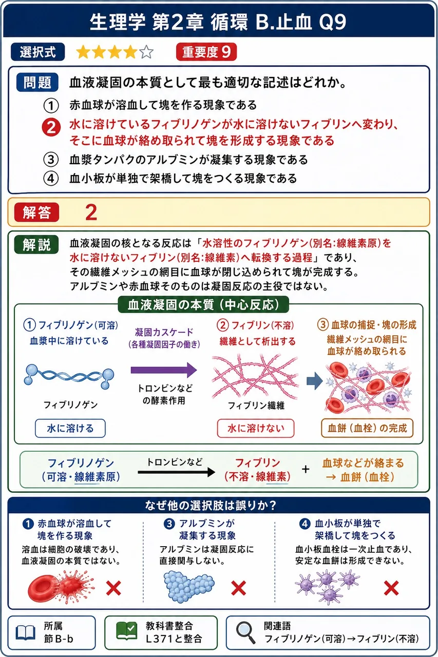 血液凝固の本質として最も適切な記述はどれか。 解説図