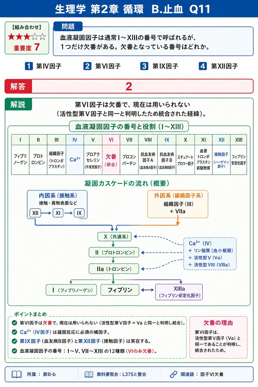 血液凝固因子は通常I〜XIIIの番号で呼ばれるが、1つだけ欠番がある。欠番となっている番号はどれか。 解説図