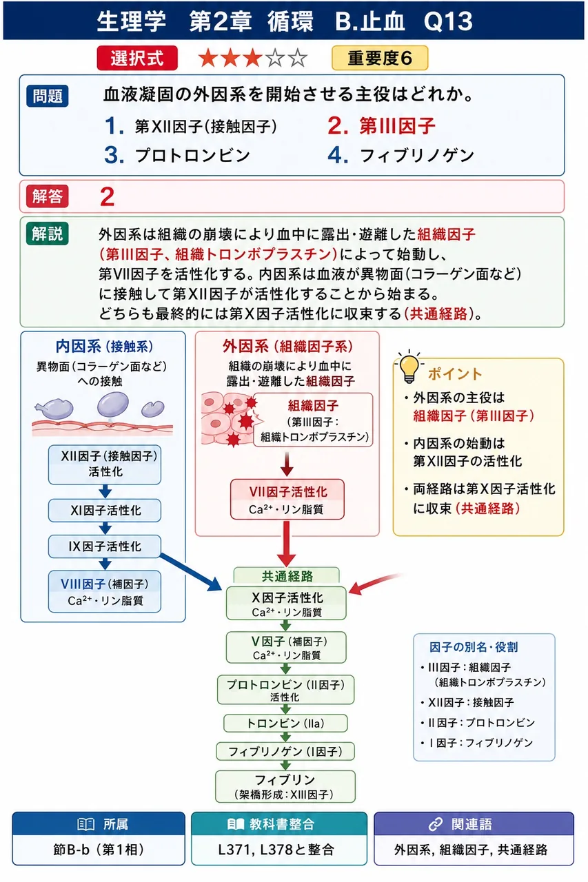 血液凝固の外因系を開始させる主役はどれか。 解説図