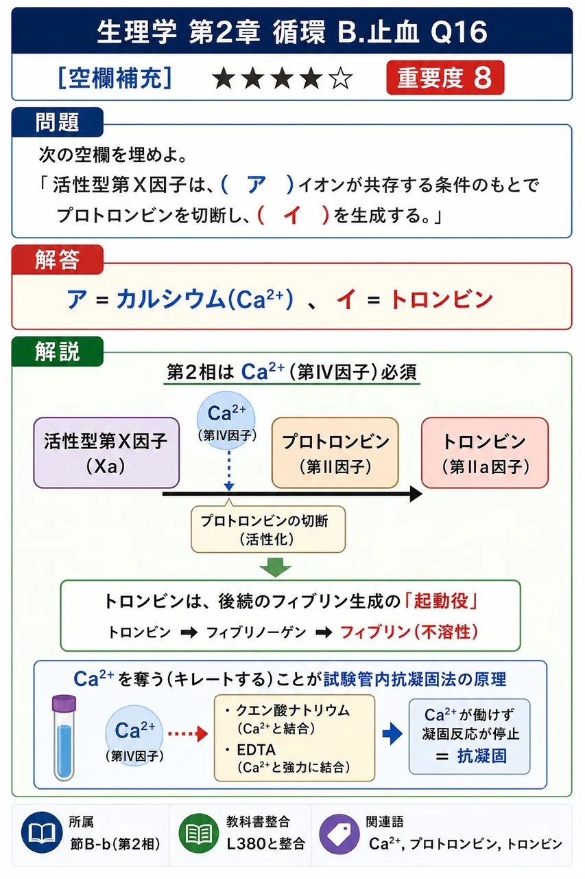 次の空欄を埋めよ。 「活性型第X因子は、( ア )イオンが共存する条件のもとでプロトロンビンを切断し、( イ )を生成する。」 解説図
