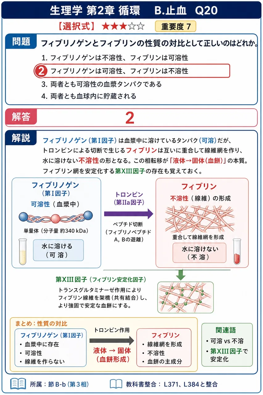 フィブリノゲンとフィブリンの性質の対比として正しいのはどれか。 解説図