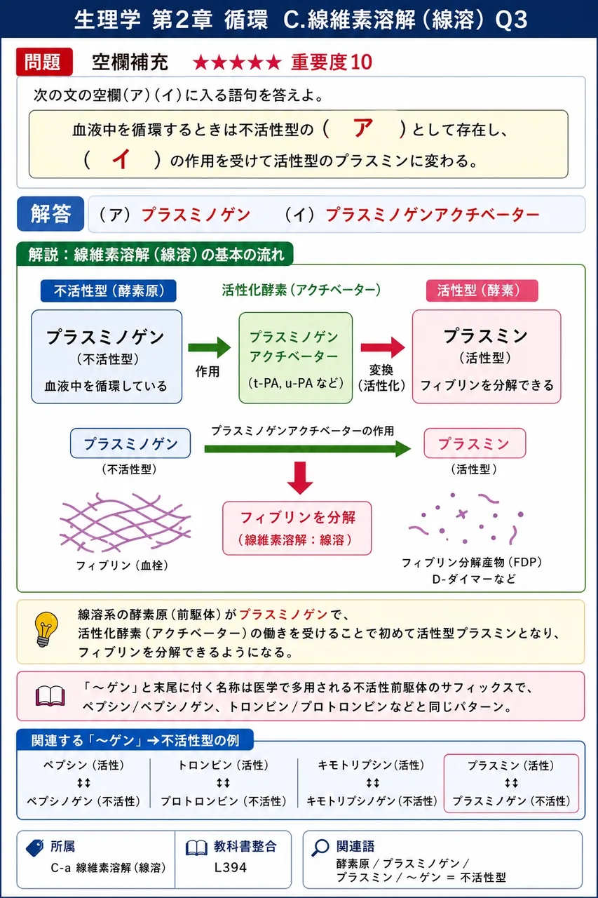 次の文の空欄(ア)(イ)に入る語句を答えよ。 「血液中を循環するときは不活性型の ( ア ) として存在し、( イ ) の作用を受けて活性型のプラスミンに変わる。」 解説図