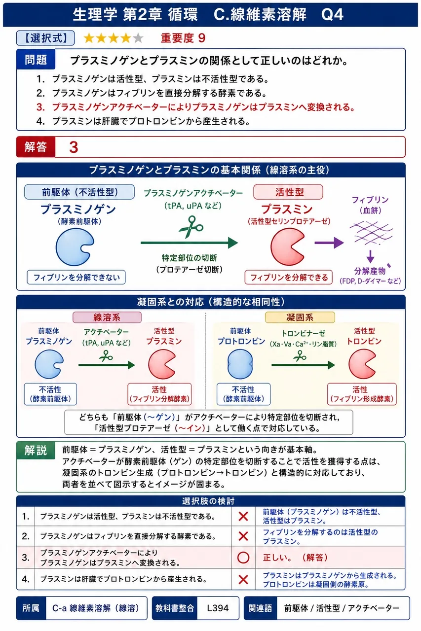 プラスミノゲンとプラスミンの関係として正しいのはどれか。 解説図