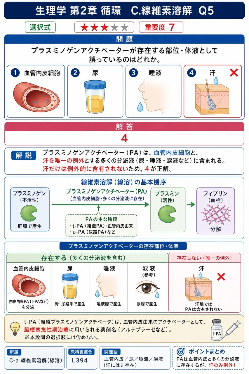 プラスミノゲンアクチベーターが存在する部位・体液として誤っているのはどれか。 解説図