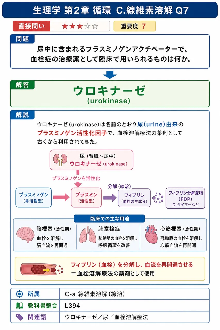 尿中に含まれるプラスミノゲンアクチベーターで、血栓症の治療薬として臨床で用いられるものは何か。 解説図