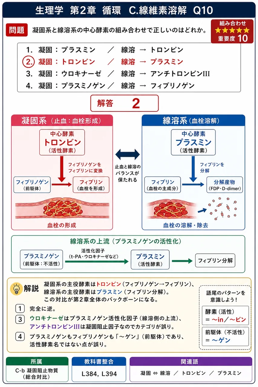 凝固系と線溶系の中心酵素の組み合わせで正しいのはどれか。 解説図