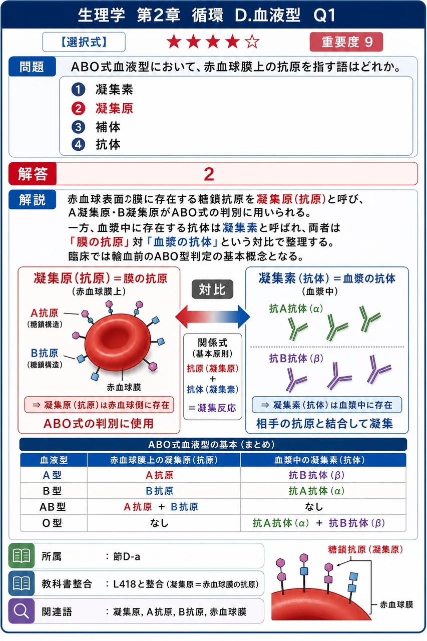 ABO式血液型において、赤血球膜上の抗原を指す語はどれか。 解説図