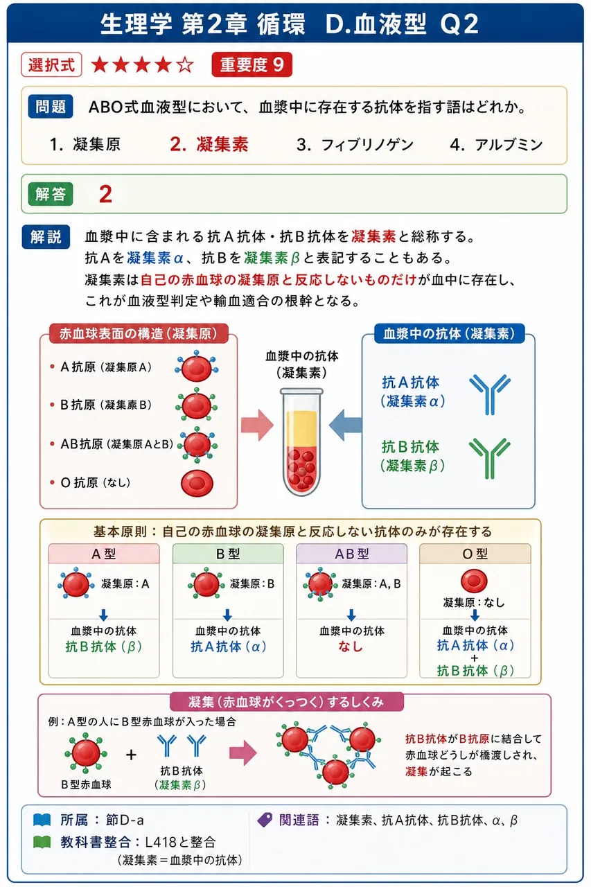 ABO式血液型において、血漿中に存在する抗体を指す語はどれか。 解説図