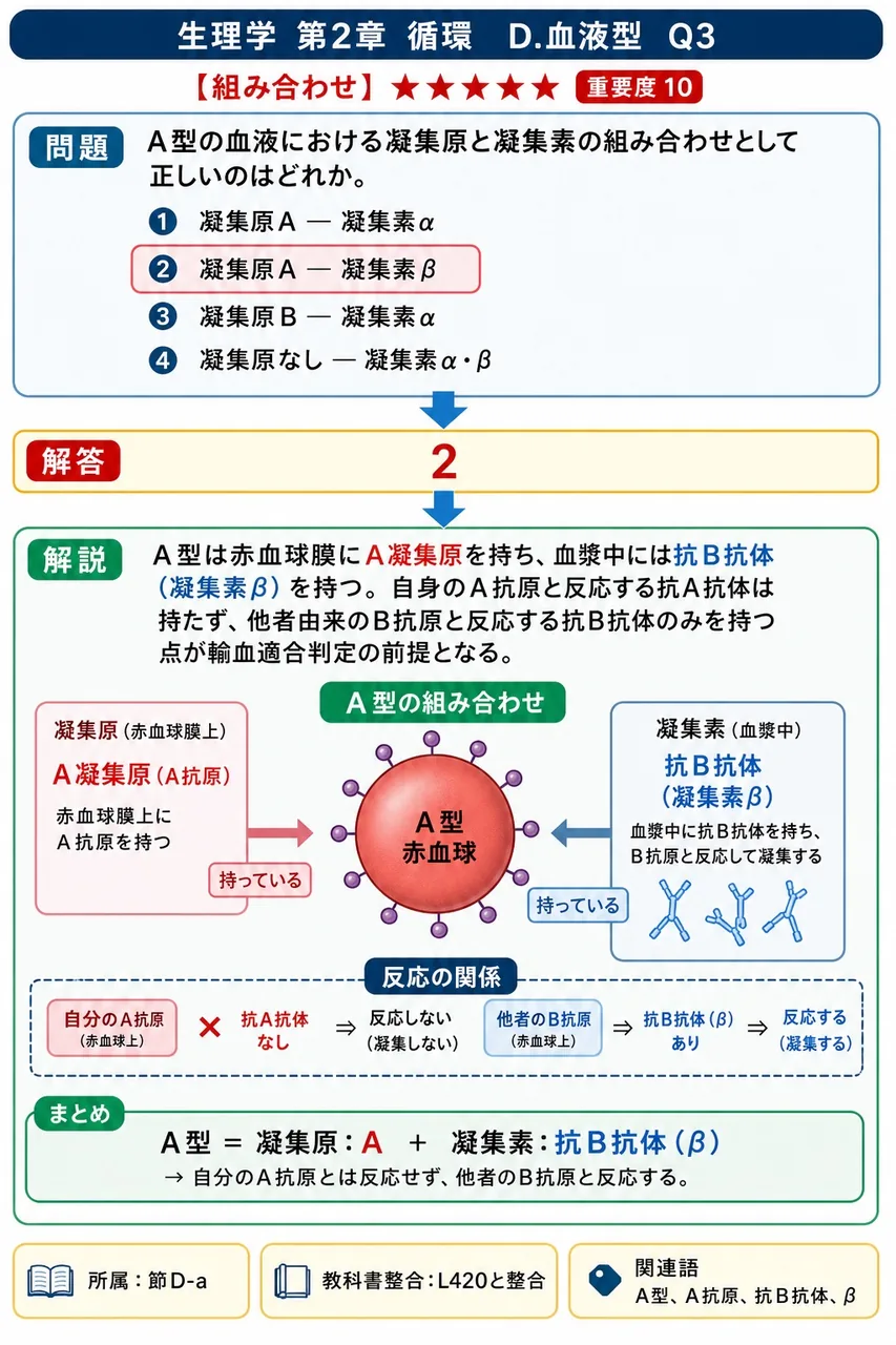 A型の血液における凝集原と凝集素の組み合わせとして正しいのはどれか。 解説図