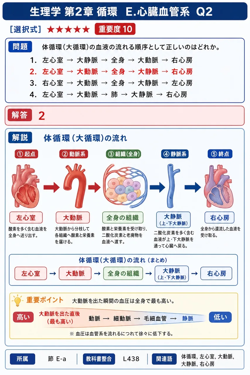体循環(大循環)の血液の流れる順序として正しいのはどれか。 解説図