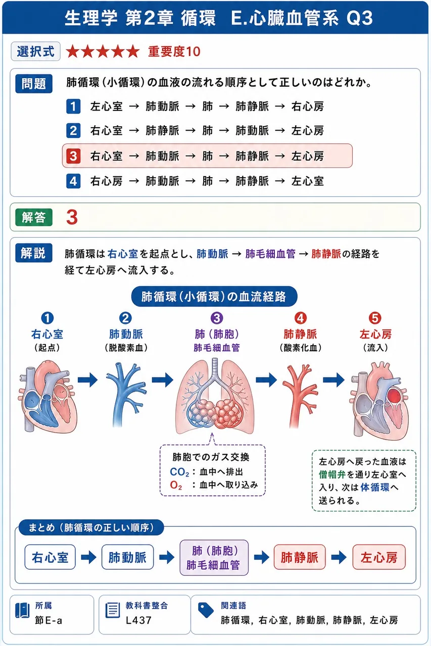 肺循環(小循環)の血液の流れる順序として正しいのはどれか。 解説図
