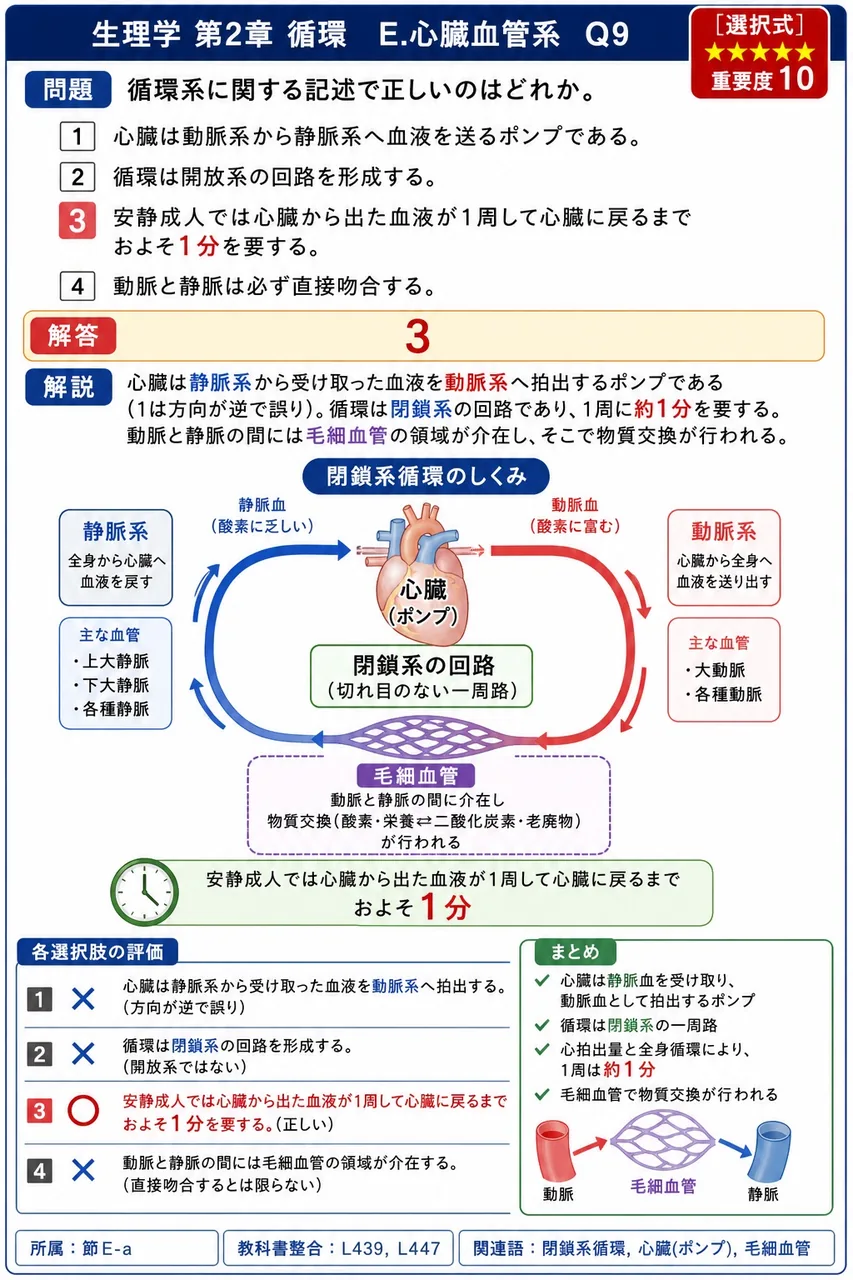 循環系に関する記述で正しいのはどれか。 解説図