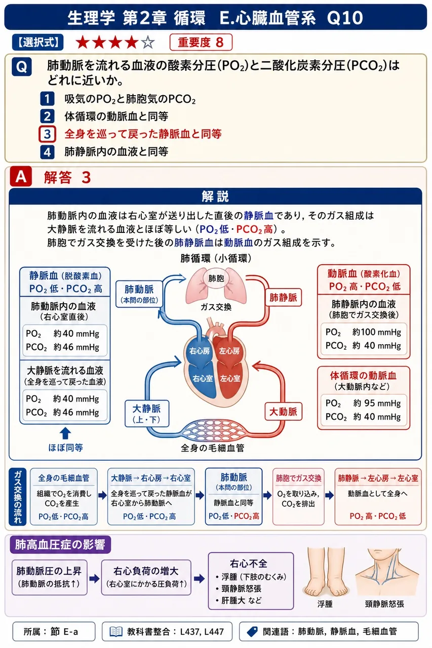 肺動脈を流れる血液の酸素分圧(PO₂)と二酸化炭素分圧(PCO₂)はどれに近いか。 解説図