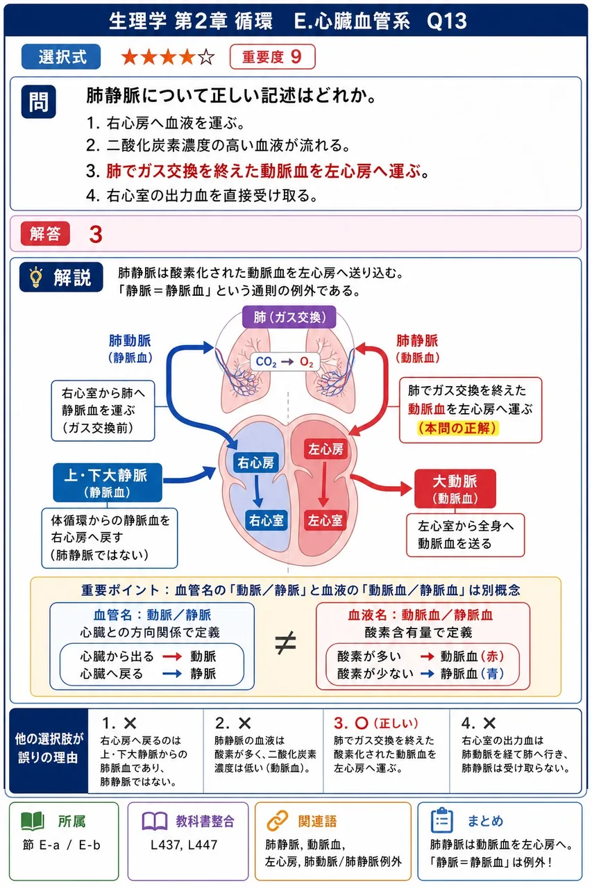 肺静脈について正しい記述はどれか。 解説図