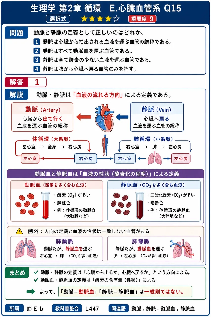 動脈と静脈の定義として正しいのはどれか。 解説図
