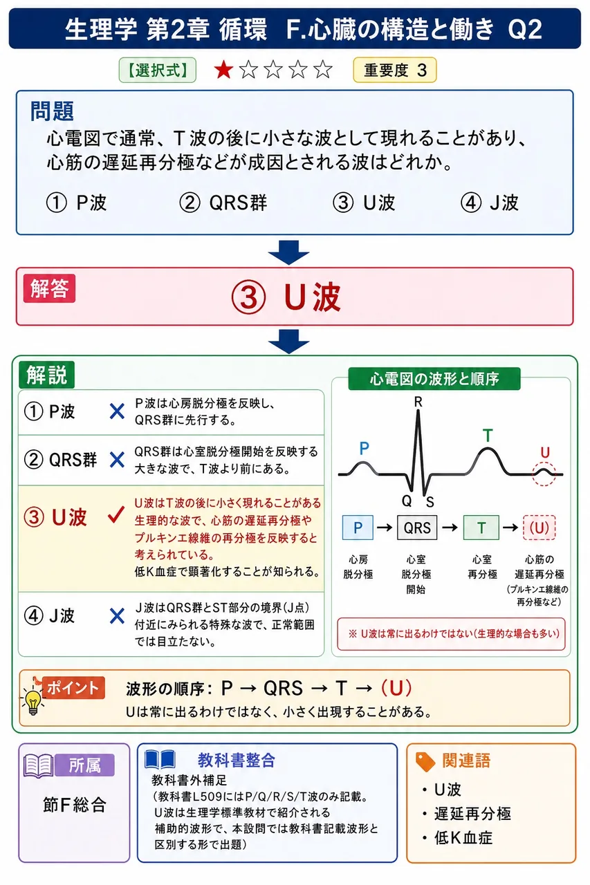 心電図で通常、T波の後に小さな波として現れることがあり、心筋の遅延再分極などが成因とされる波はどれか。 解説図