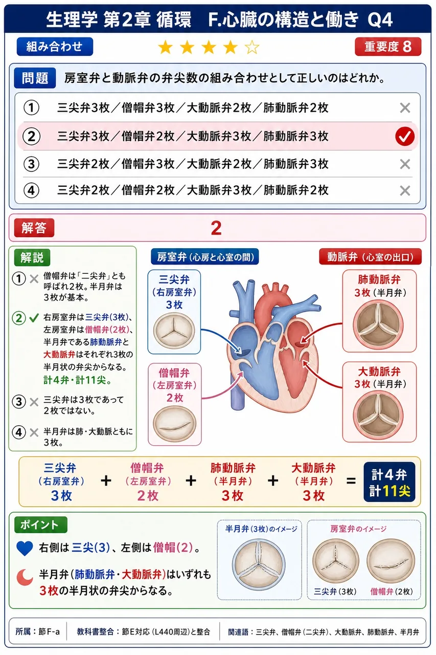 房室弁と動脈弁の弁尖数の組み合わせとして正しいのはどれか。 解説図
