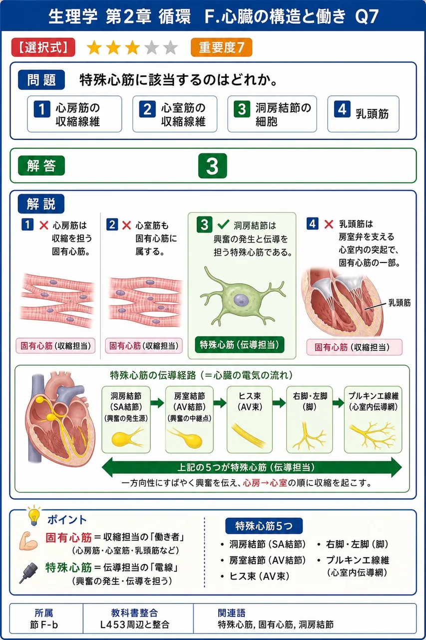 特殊心筋に該当するのはどれか。 解説図