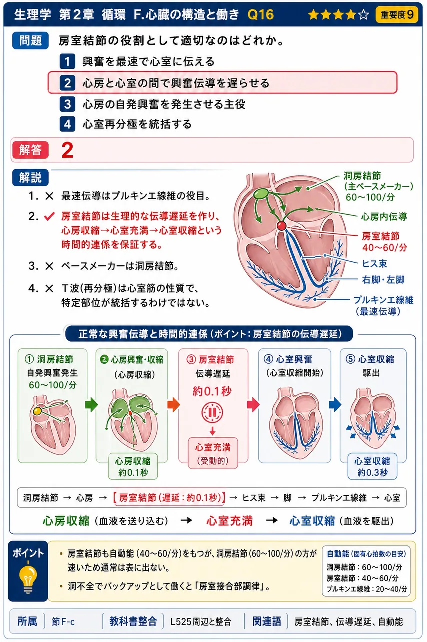 房室結節の役割として適切なのはどれか。 解説図