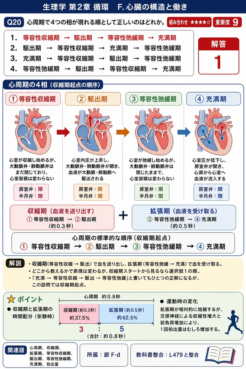 心周期で4つの相が現れる順として正しいのはどれか。 解説図