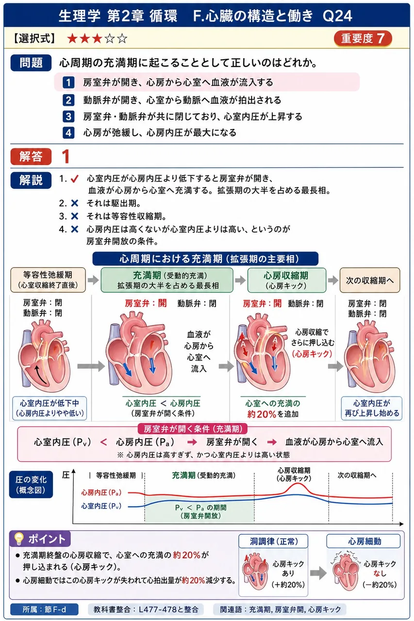 心周期の充満期に起こることとして正しいのはどれか。 解説図