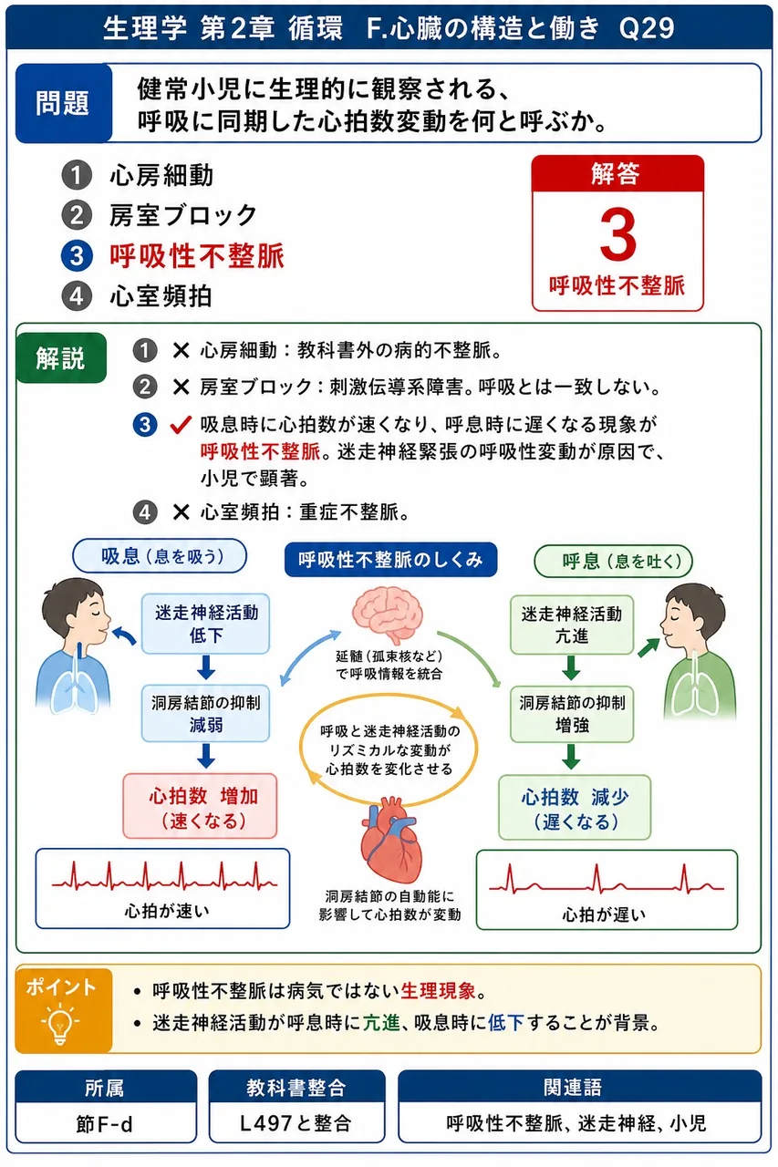 健常小児に生理的に観察される、呼吸に同期した心拍数変動を何と呼ぶか。 解説図
